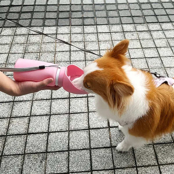 Collapsible Silicone Dog Travel Water Bottle