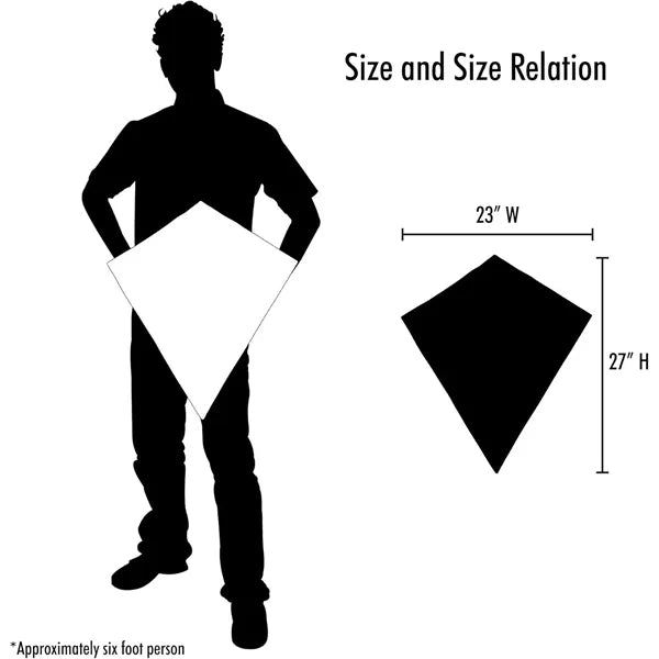 Fly Kite