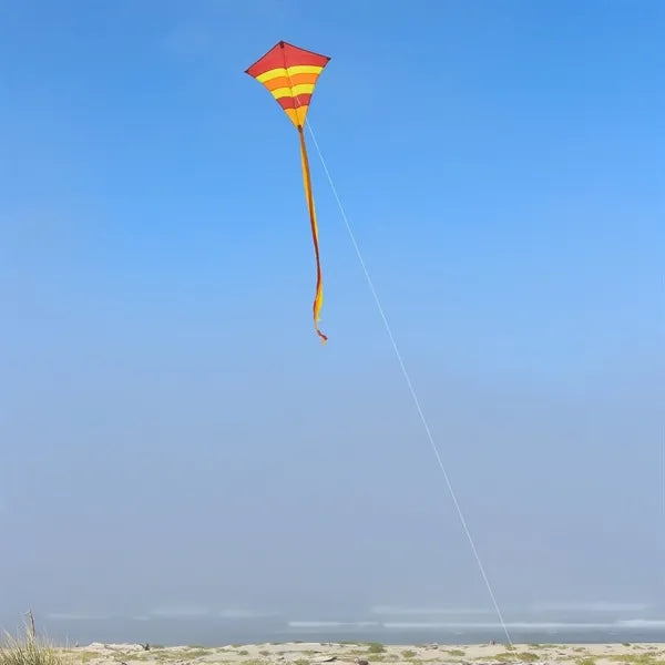 Fly Kite