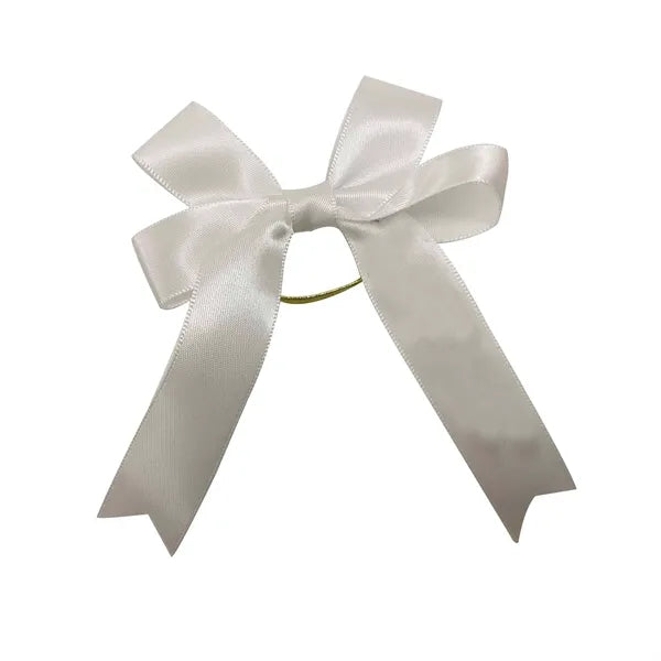 Wine bottle ribbon ties neck bow