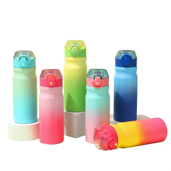 Stainless Steel Bottle