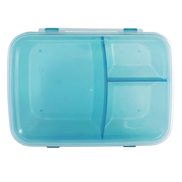 Full Color Translucent Lunch Container