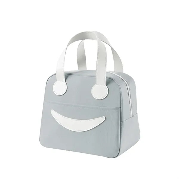 Cute insulated lunch box