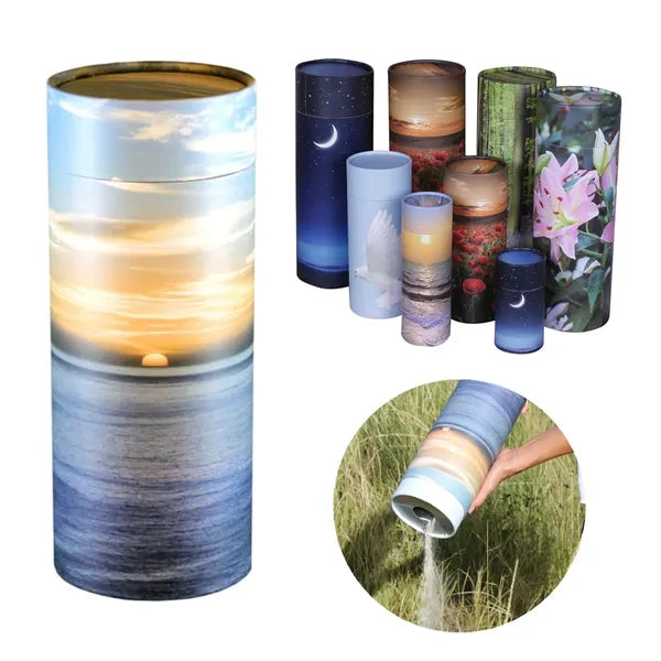 Cardboard Scattering Tubes
