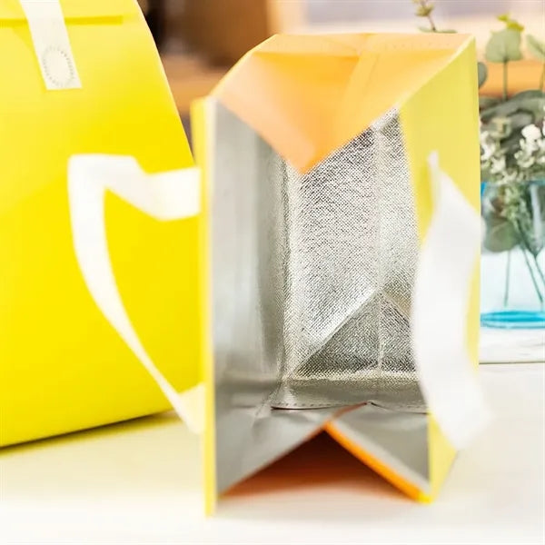 Insulated Take Away Bag Thermal Insulation for Food drive