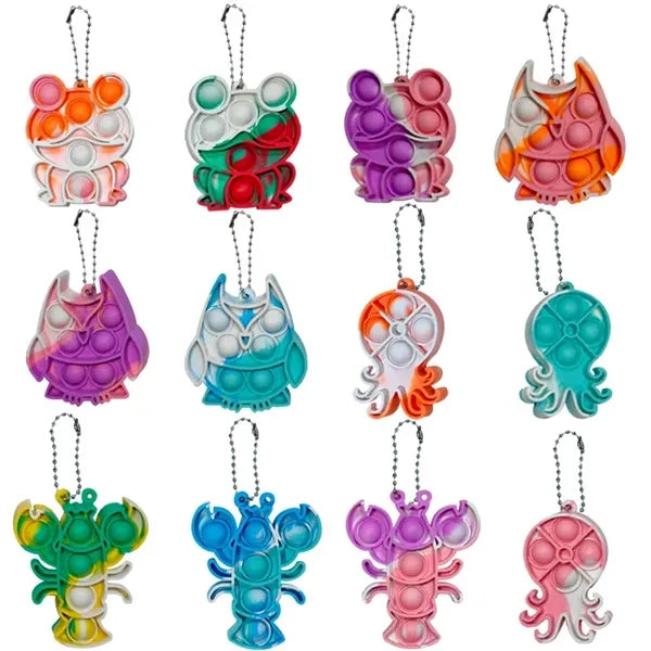 Push Pop Bubble Fidget Toy Keychain