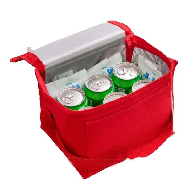Insulated Lunch Bags for Women And Men