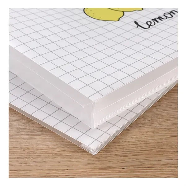 Plastic Document File Bag