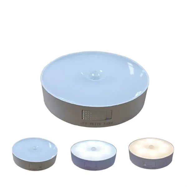 Rechargeable Motion LED Sensor Light