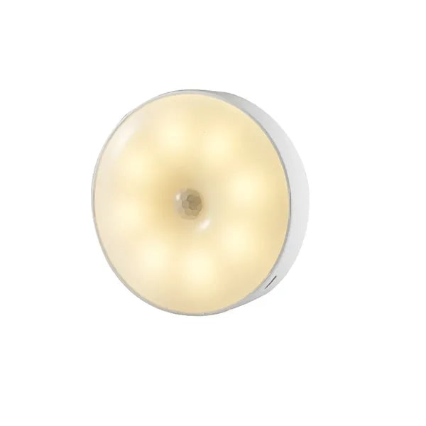 Rechargeable Motion LED Sensor Light