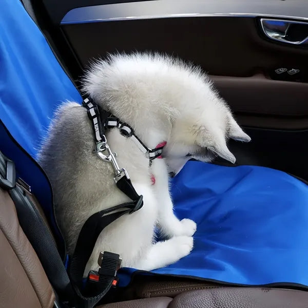 Dog Car Mat Pet Cushion Outdoor Waterproof And Dirty Sheet
