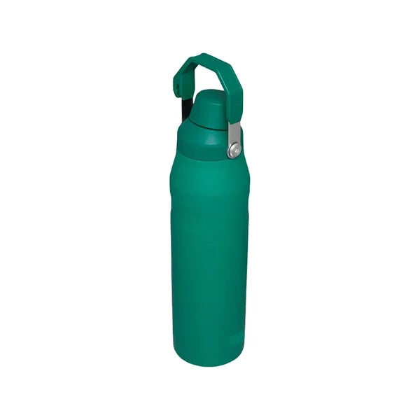 24oz Stainless Steel Sport Bottle With Handle