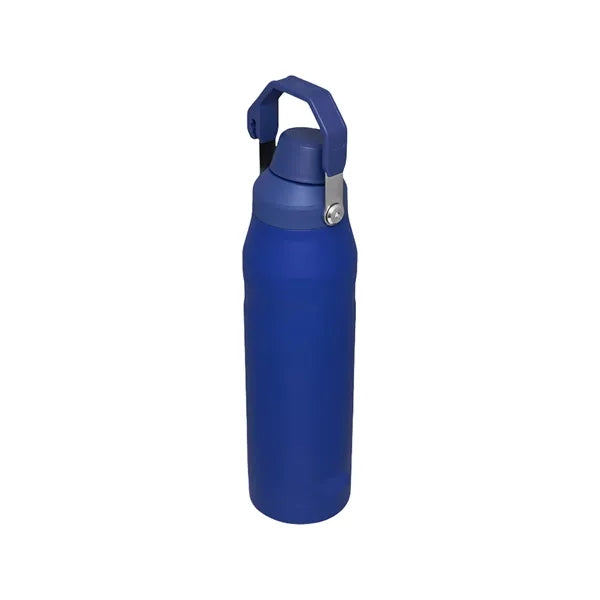 24oz Stainless Steel Sport Bottle With Handle