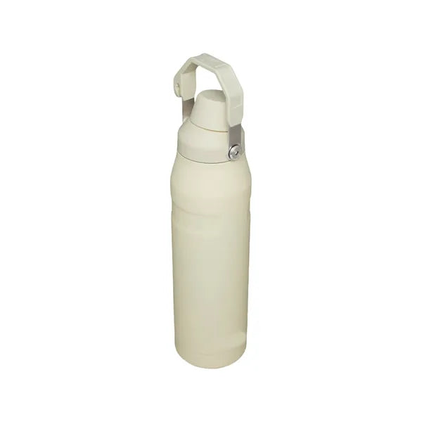 24oz Stainless Steel Sport Bottle With Handle