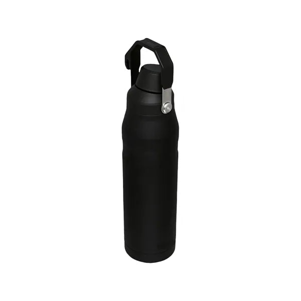 24oz Stainless Steel Sport Bottle With Handle