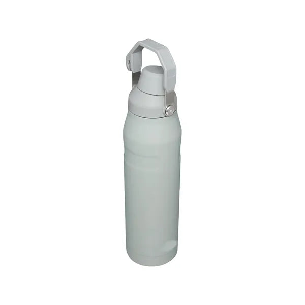 24oz Stainless Steel Sport Bottle With Handle