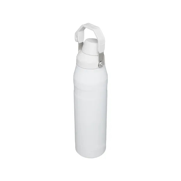 24oz Stainless Steel Sport Bottle With Handle