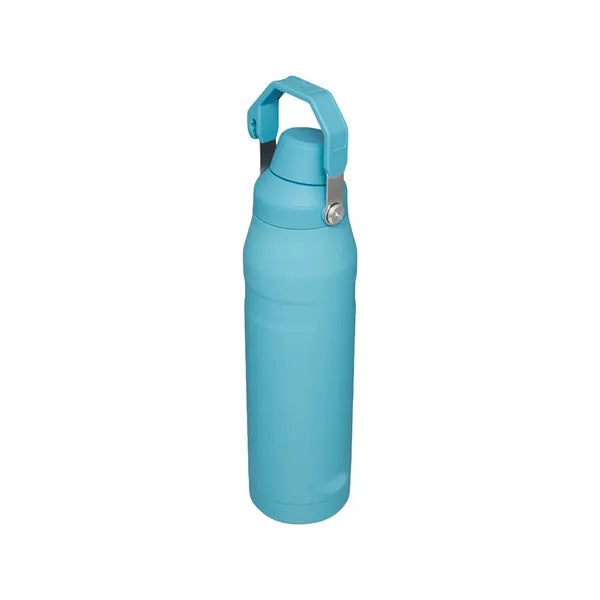 24oz Stainless Steel Sport Bottle With Handle