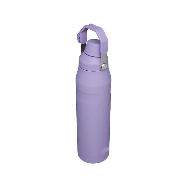 24oz Stainless Steel Sport Bottle With Handle