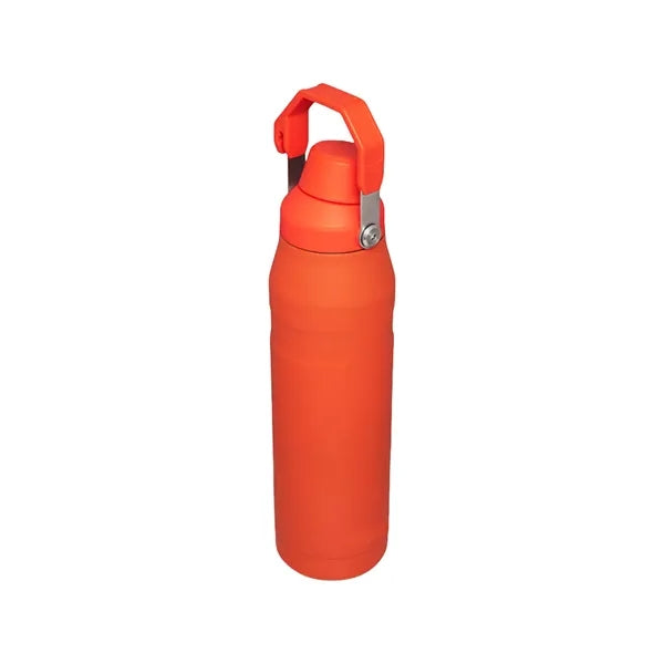24oz Stainless Steel Sport Bottle With Handle