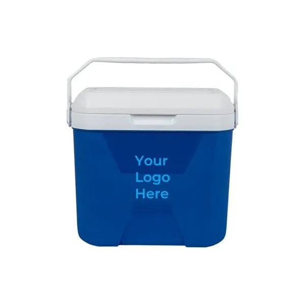 9L Insulated Portable Cooler