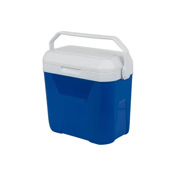 9L Insulated Portable Cooler
