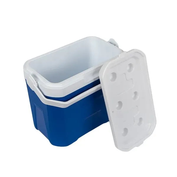 9L Insulated Portable Cooler