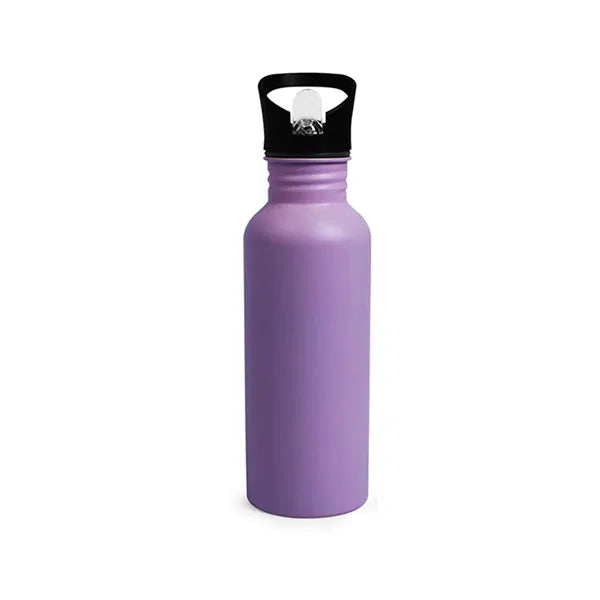 17oz Double-Wall Vacuum Bottle with Loop & Sip Thru Top