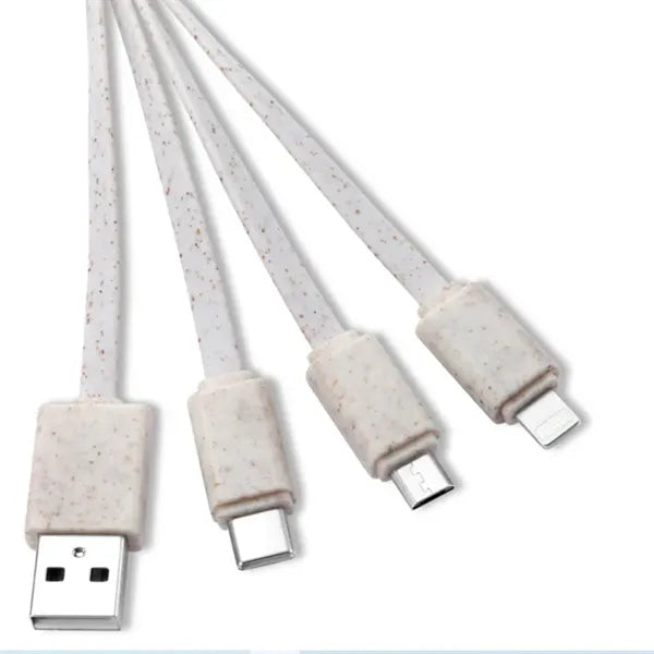 Multi-Charging Cable