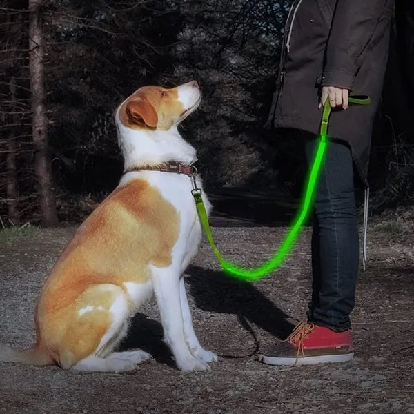 LED Dog Leash Reflective Strips