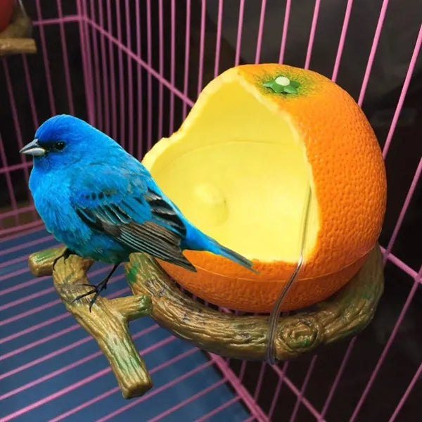 Hanging Plastic Food and Water Tray for Quails and Birds