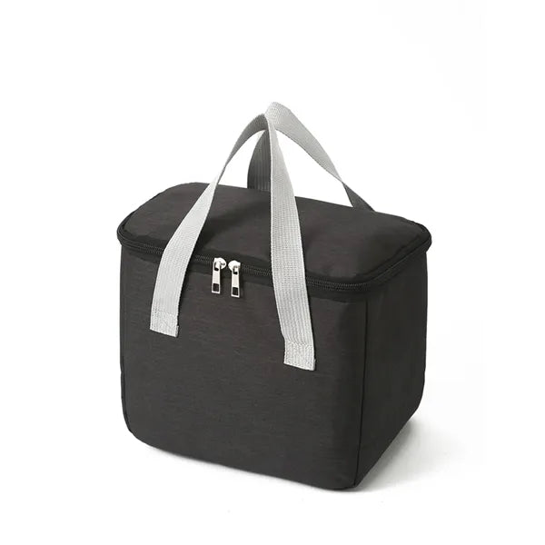 Insulated Lunch Tote Bag