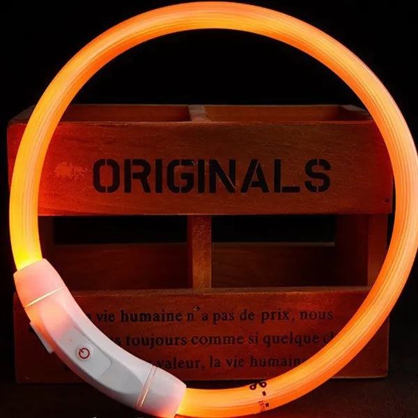 Glowing Adjustable LED Safety Collar