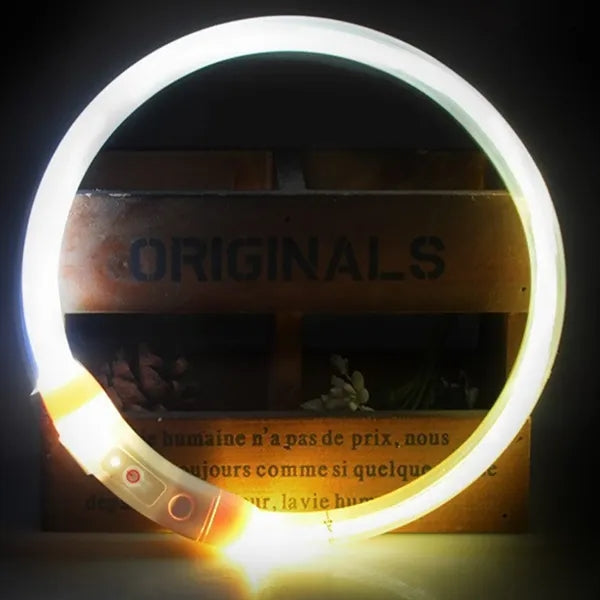 Glowing Adjustable LED Safety Collar