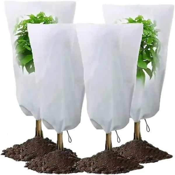 Plant Cover from Sun