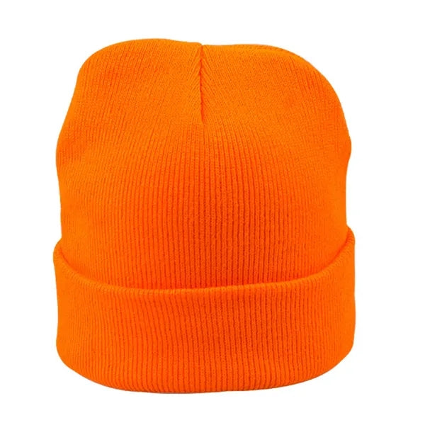 Solid Color Thick Knit Hat