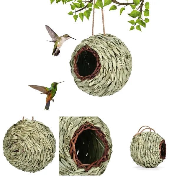 Wild Bird Nesting