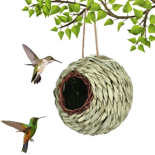 Wild Bird Nesting