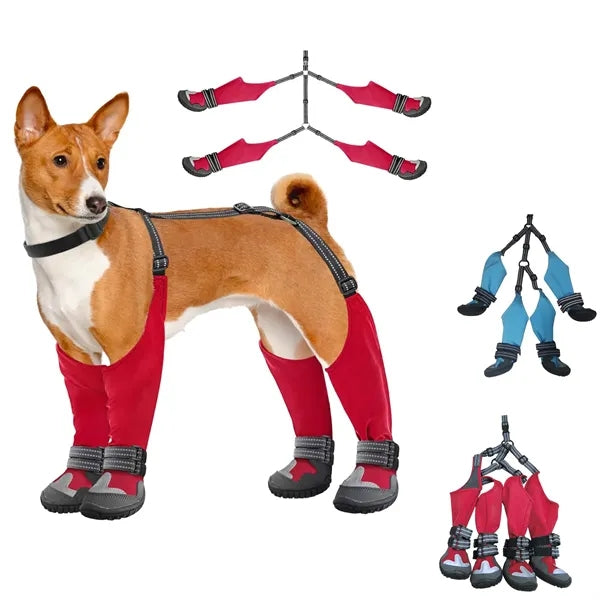 Dog Suspender Boots