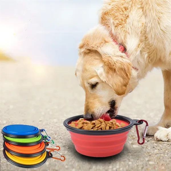 Collapsible Pet Bowl With Carabiner