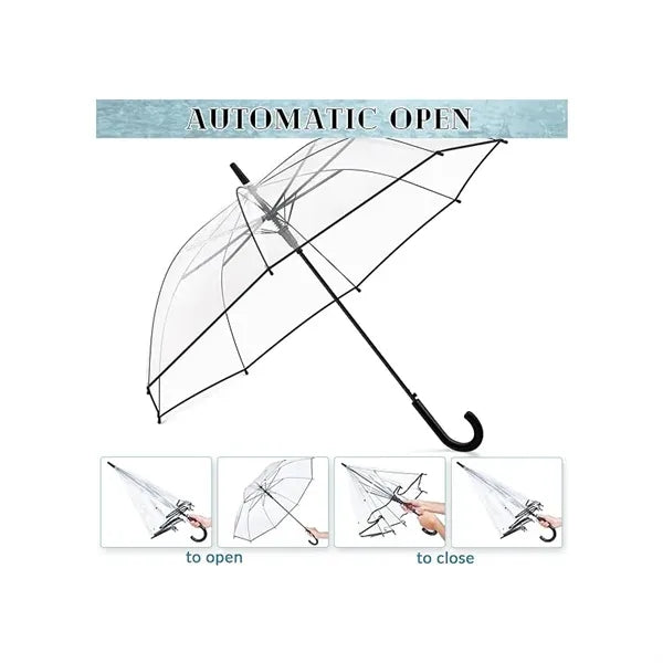 Clear Umbrella