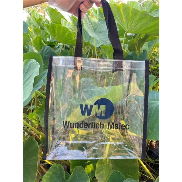 Giveaway Clear Stadium Tote Bags_12 x 12 x 6 inch