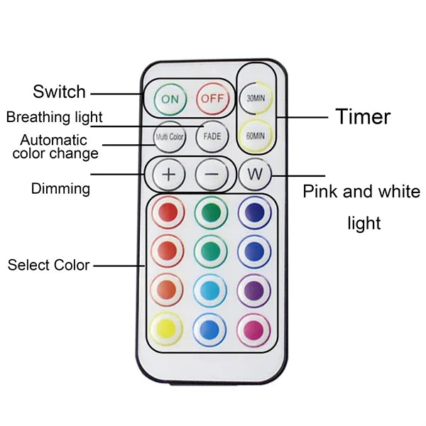 13 Rgb Colors Changing Battery Operated Lights