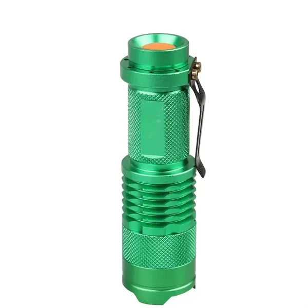 Flashlight with Clip