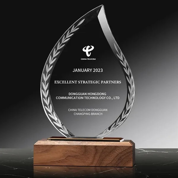 Crystal Glass Trophy Award on Wood Base