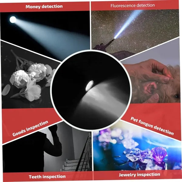 Household Emergency Preparedness Tool Set with Flashlight