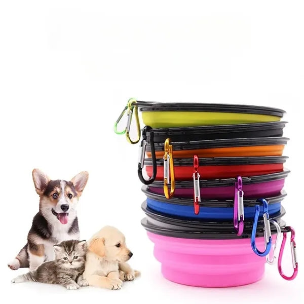 Folding dog bowl