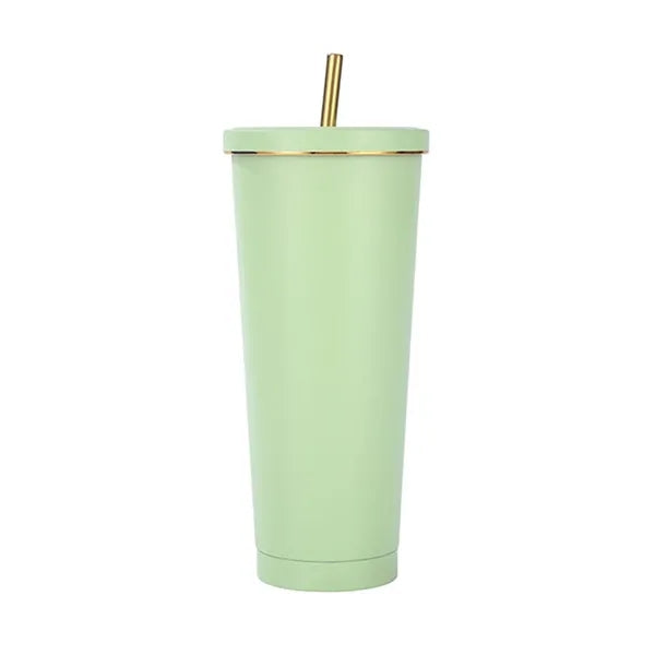 23oz Stainless Steel Insulated Straw Tumbler