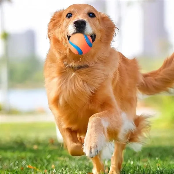 Durable Dog Chew Toy Ball