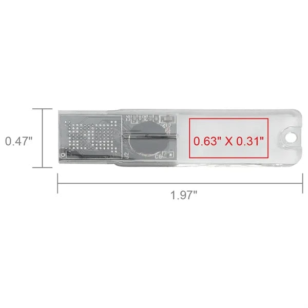 Big Rock Transparent USB Flash Drive